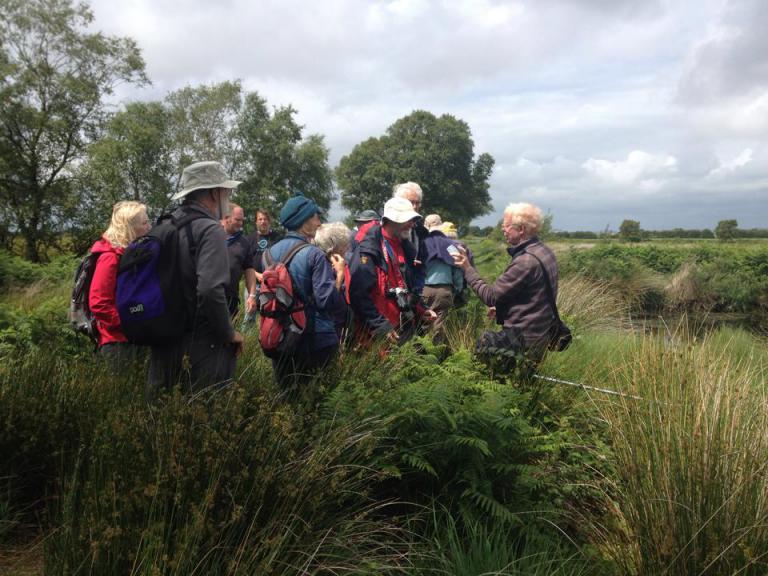 Dragonflies and Damselflies event