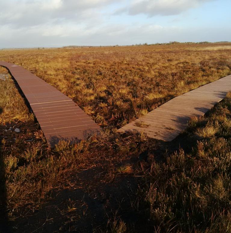 Boardwalk routes diverging closer