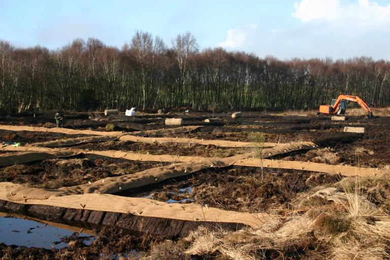Bog restoration