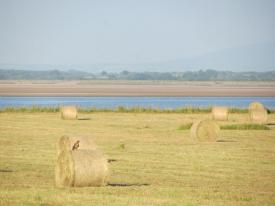 Cycle the Cardurnock Peninsula